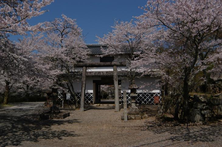 山家城址公園