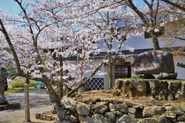 さくらめぐり山家城址公園