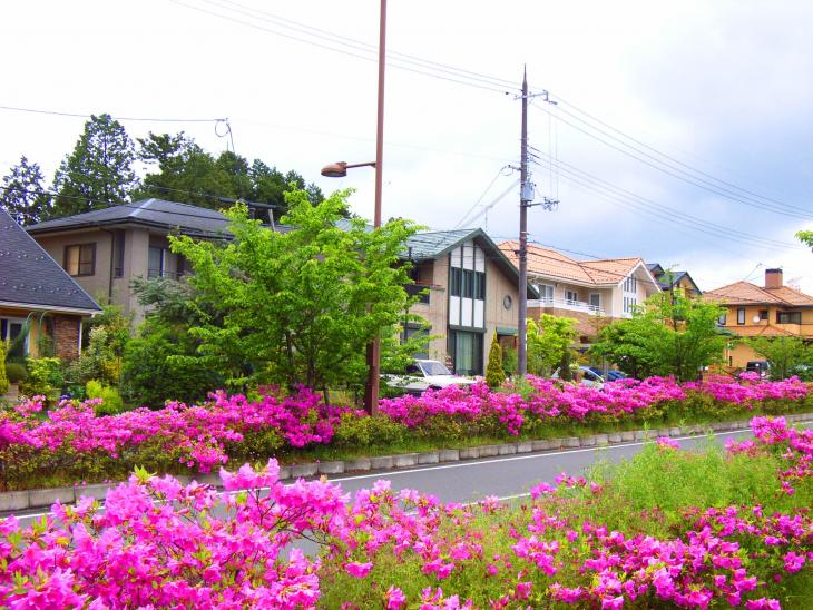 あやべ桜が丘団地