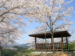 浅根山公園の画像