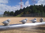 わんぱく公園の画像