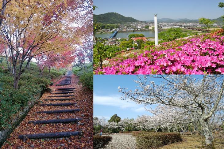 紫水ヶ丘公園の写真