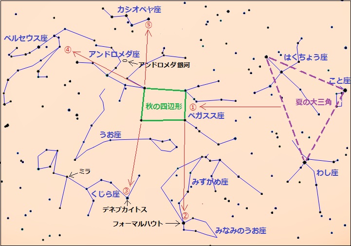 秋の星座説明図(南)