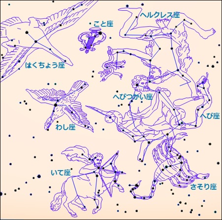 夏の星座絵