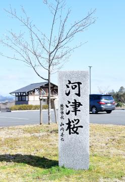 紫水ヶ丘公園の記念碑写真