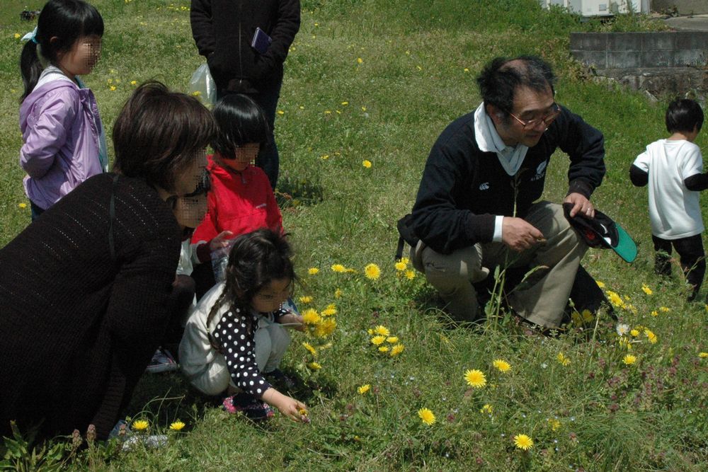 「タンポポ観察会」の写真
