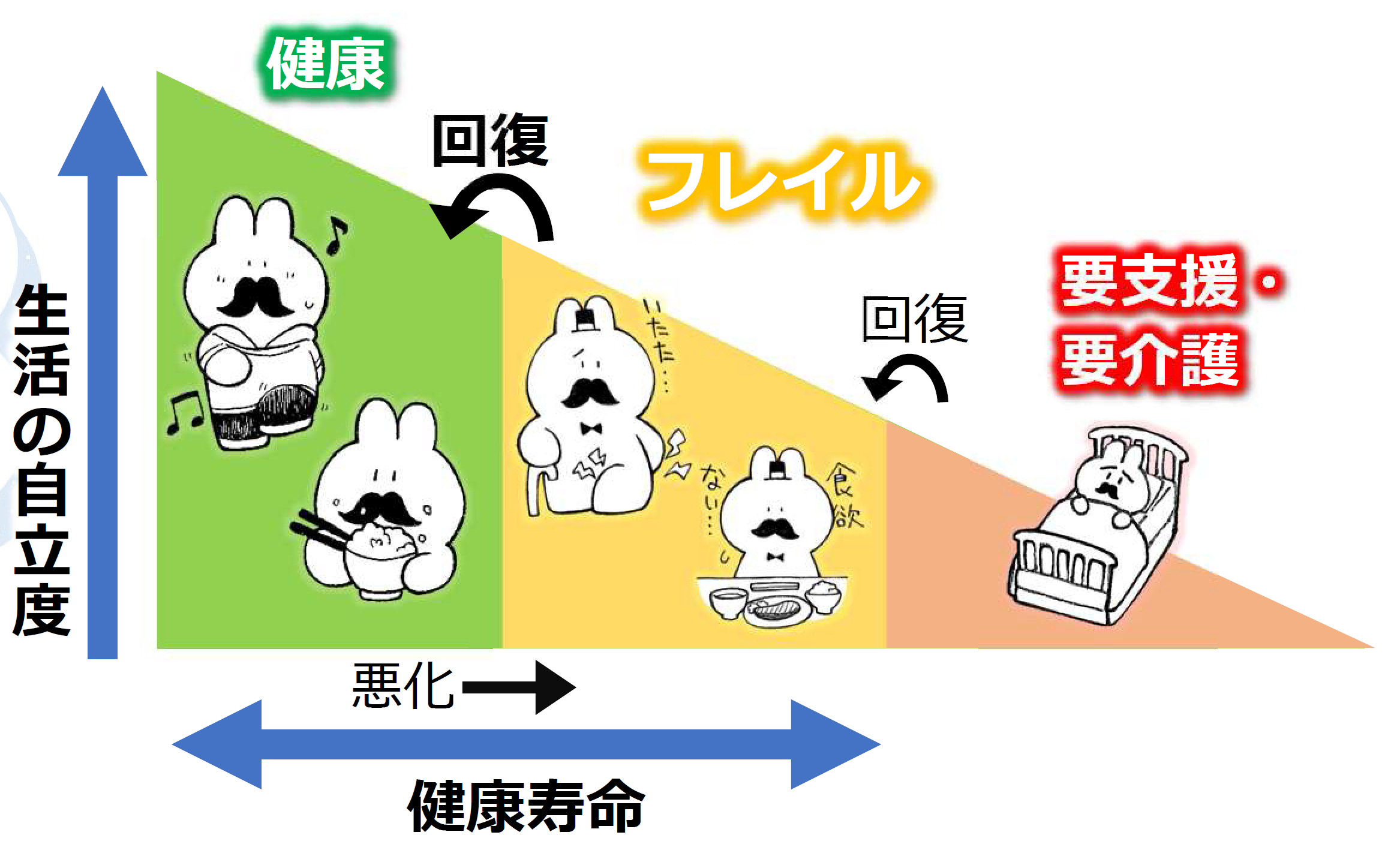 フレイル図
